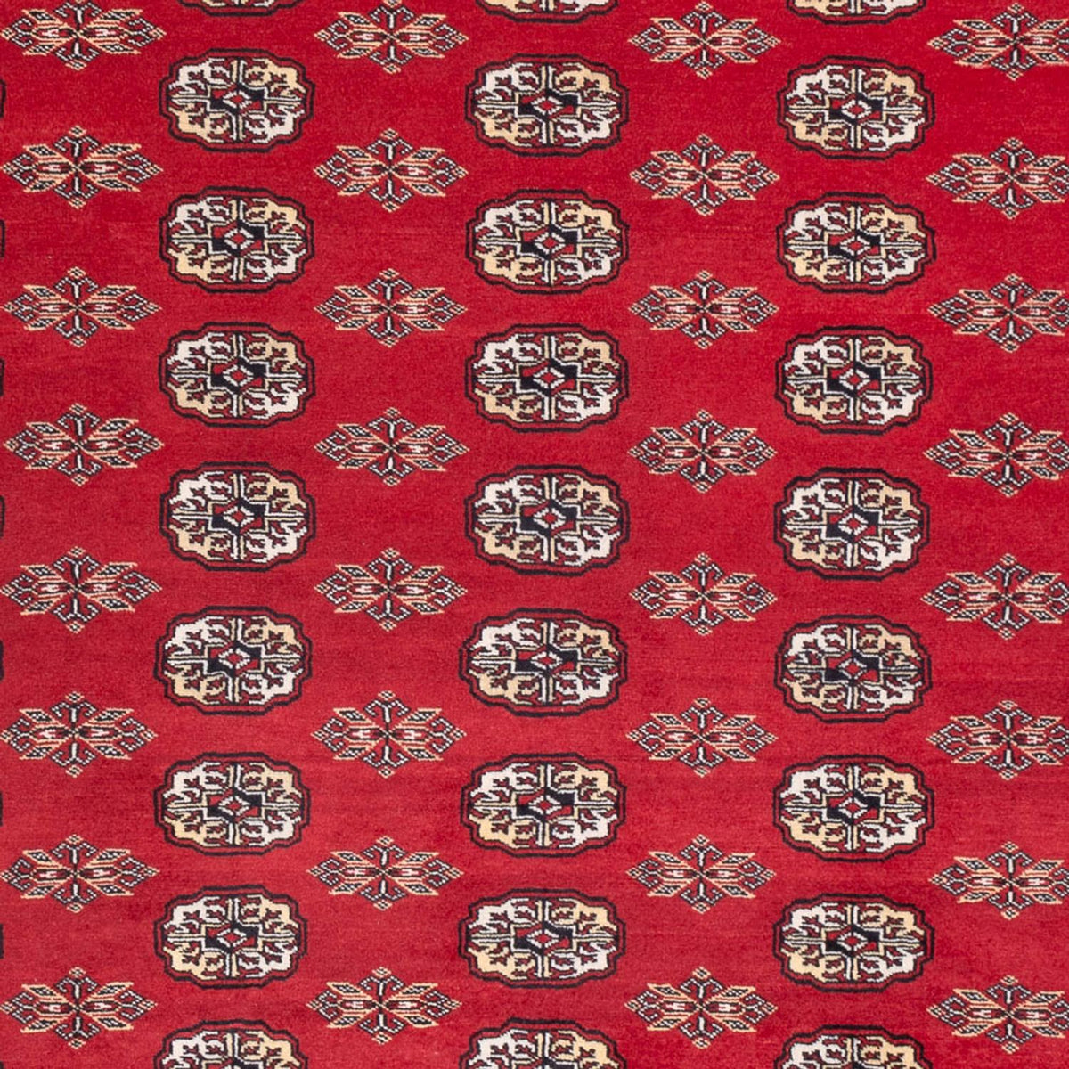 Afghaans tapijt - Bukhara - 314 x 243 cm - rood