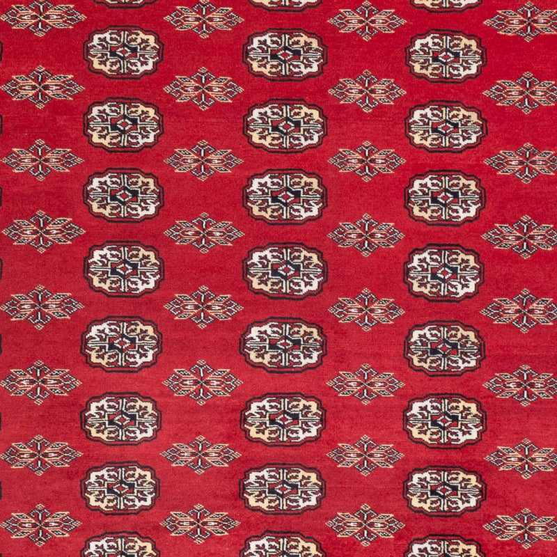 Afghaans tapijt - Bukhara - 314 x 243 cm - rood