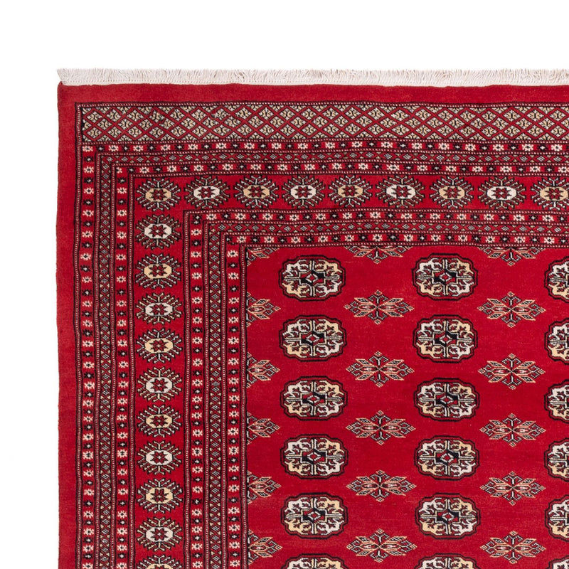 Afghaans tapijt - Bukhara - 314 x 243 cm - rood