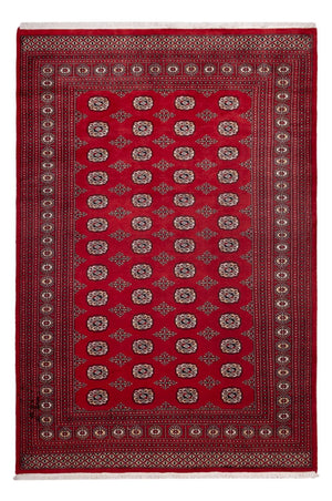 Afghaans tapijt - Bukhara - 290 x 200 cm - rood
