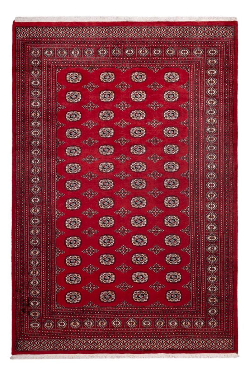 Afghaans tapijt - Bukhara - 290 x 200 cm - rood