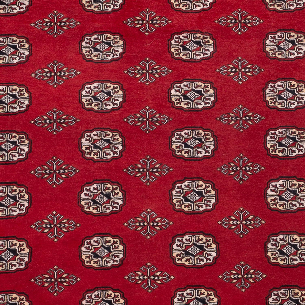 Afghaans tapijt - Bukhara - 290 x 200 cm - rood