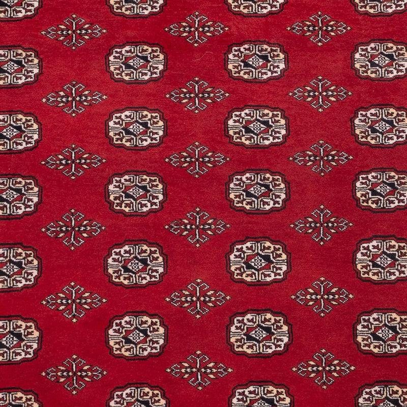 Afghaans tapijt - Bukhara - 290 x 200 cm - rood