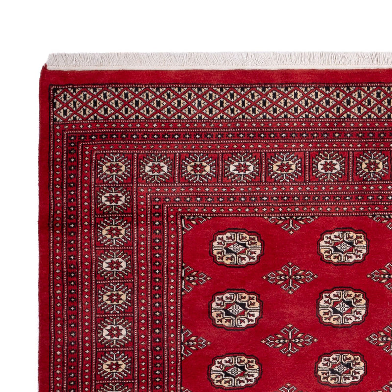 Afghaans tapijt - Bukhara - 290 x 200 cm - rood