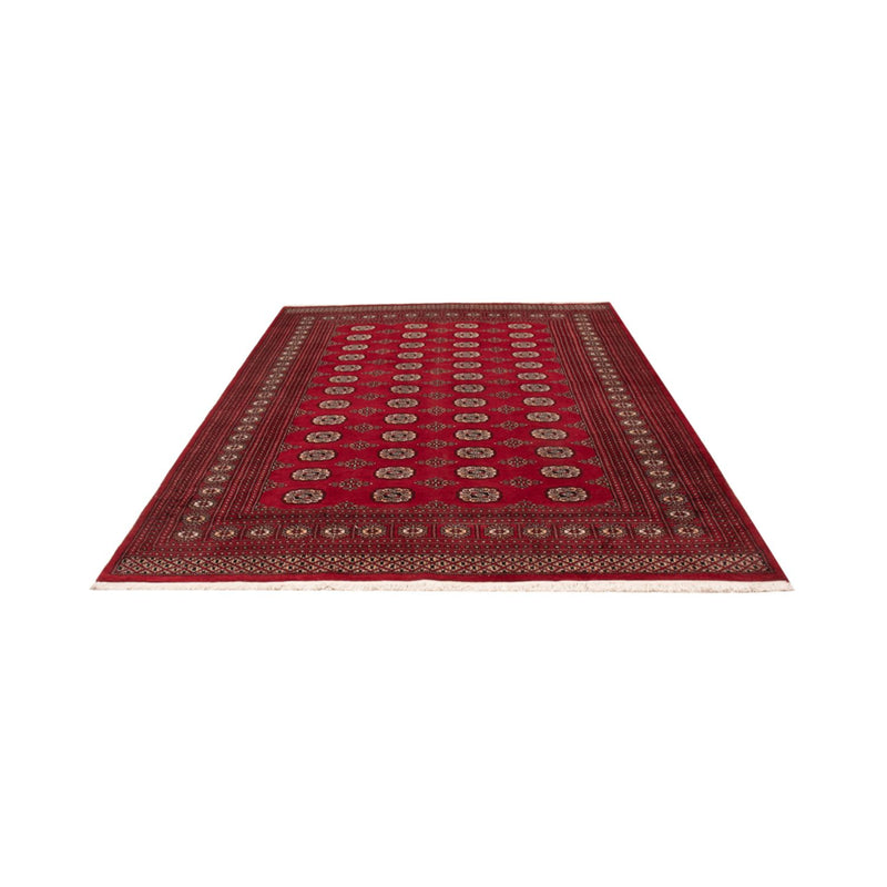 Afghaans tapijt - Bukhara - 290 x 200 cm - rood