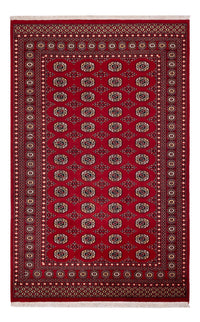Pakistaans tapijt - 256 x 167 cm - rood
