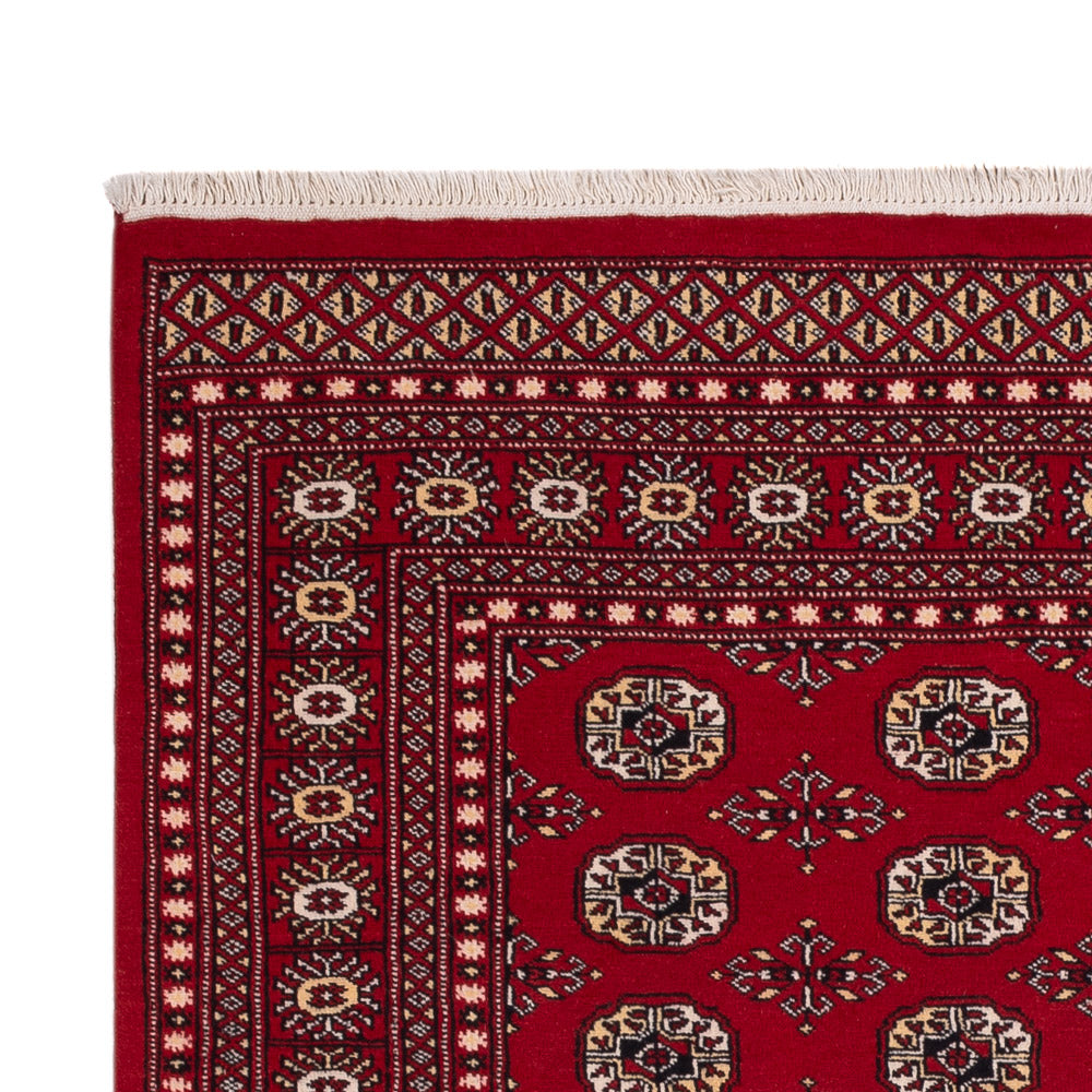 Pakistaans tapijt - 256 x 167 cm - rood