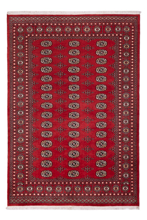 Pakistaans tapijt - 243 x 168 cm - rood