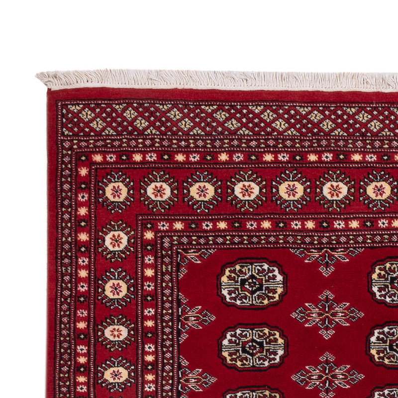Pakistaans tapijt - 244 x 154 cm - rood