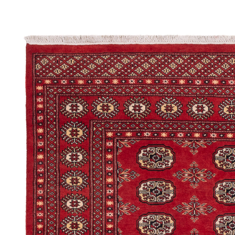 Pakistaans tapijt - 250 x 159 cm - rood