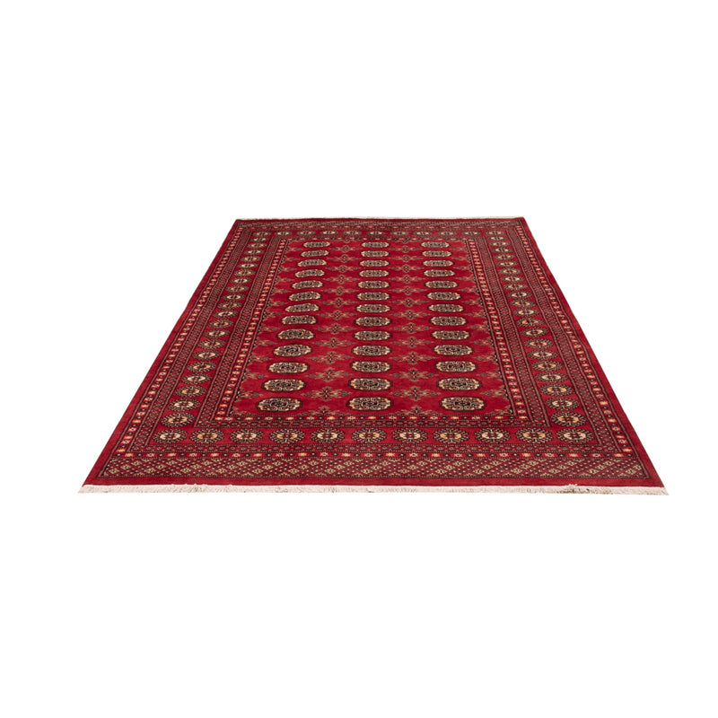 Pakistaans tapijt - 250 x 159 cm - rood
