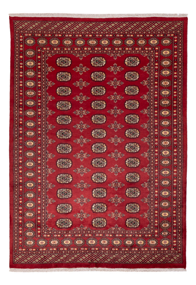 Pakistaans tapijt - 245 x 170 cm - rood