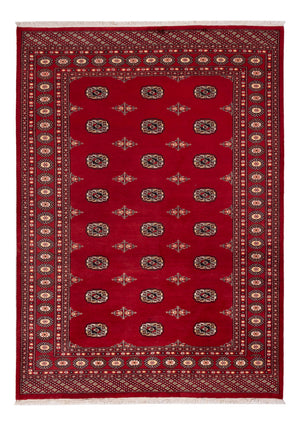 Pakistaans tapijt - 236 x 171 cm - rood