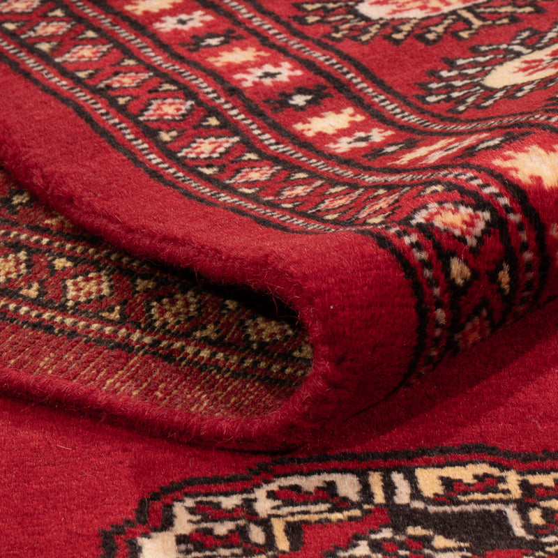 Pakistaans tapijt - 236 x 171 cm - rood