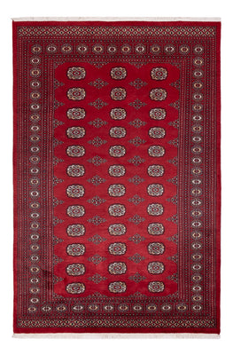 Pakistaans tapijt - 249 x 167 cm - rood