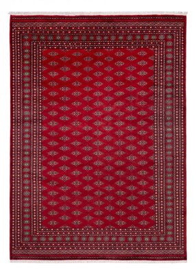 Afghaans tapijt - Bukhara - 350 x 253 cm - rood