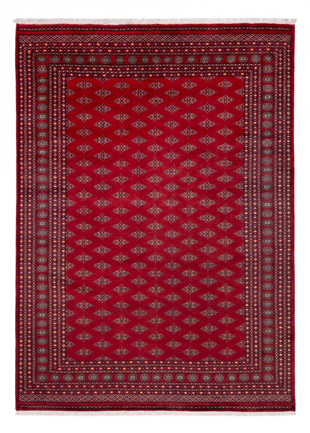 Afghaans tapijt - Bukhara - 350 x 253 cm - rood