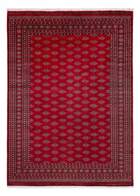 Afghaans tapijt - Bukhara - 350 x 253 cm - rood