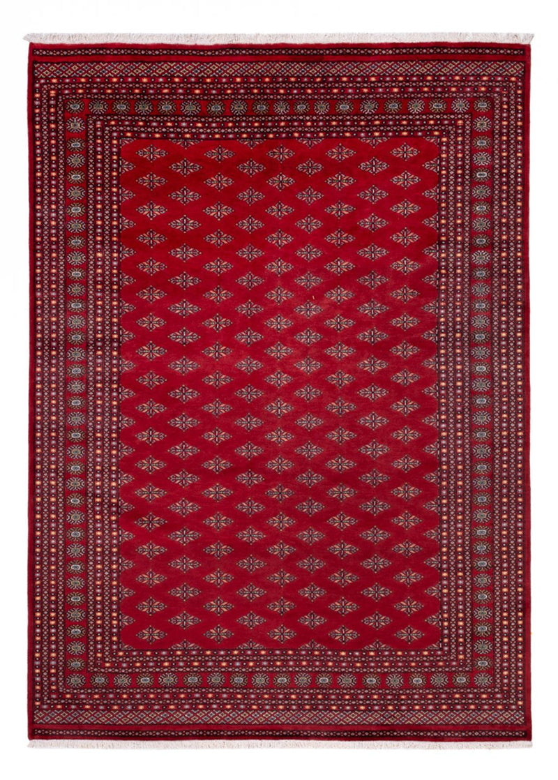Afghaans tapijt - Bukhara - 350 x 253 cm - rood