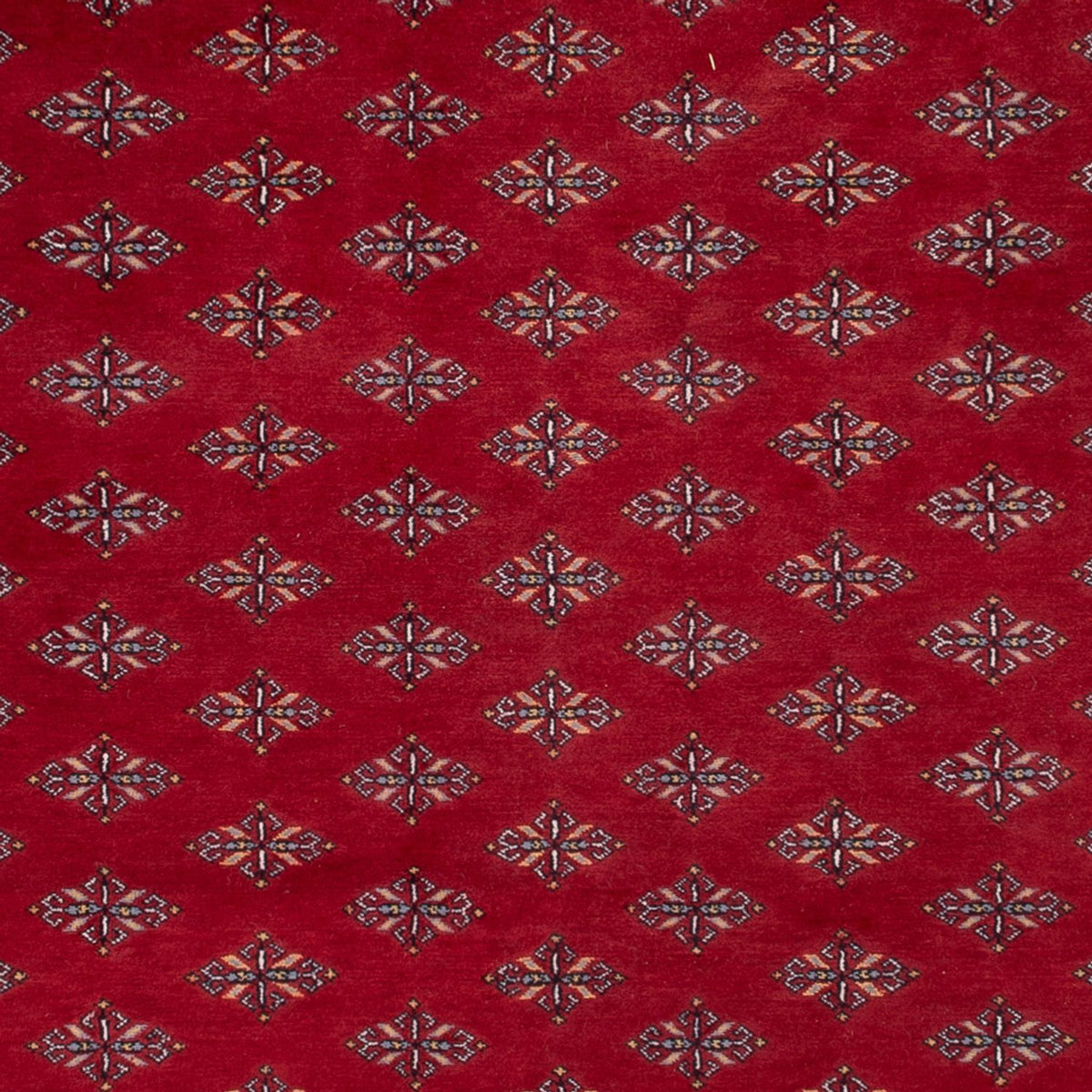 Afghaans tapijt - Bukhara - 350 x 253 cm - rood