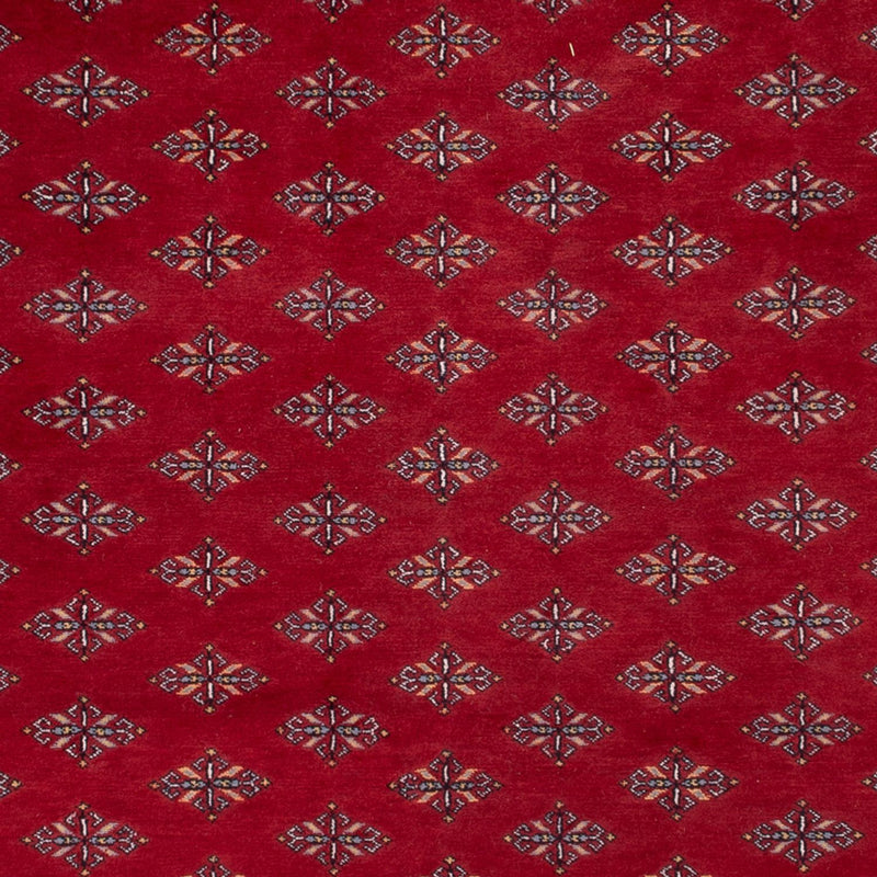 Afghaans tapijt - Bukhara - 350 x 253 cm - rood