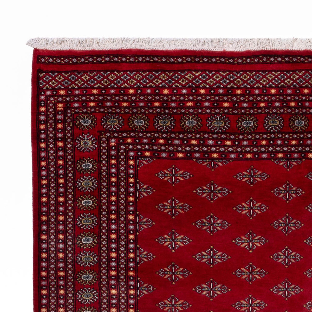Afghaans tapijt - Bukhara - 350 x 253 cm - rood