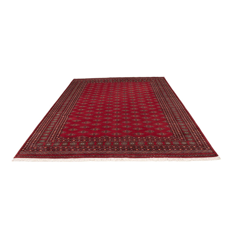 Afghaans tapijt - Bukhara - 350 x 253 cm - rood