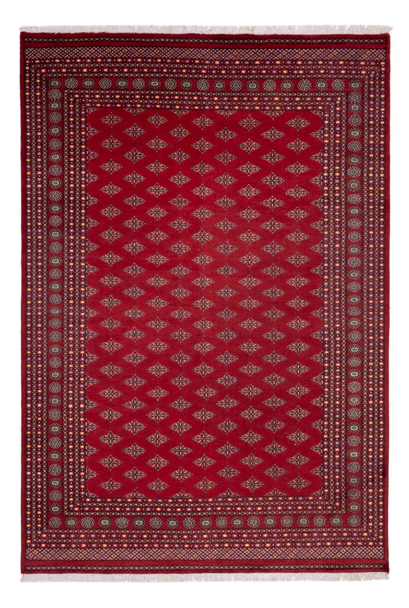 Afghaans tapijt - Bukhara - 365 x 249 cm - rood