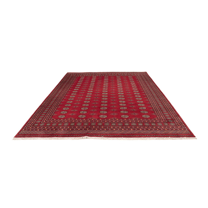 Afghaans tapijt - Bukhara - 380 x 277 cm - rood