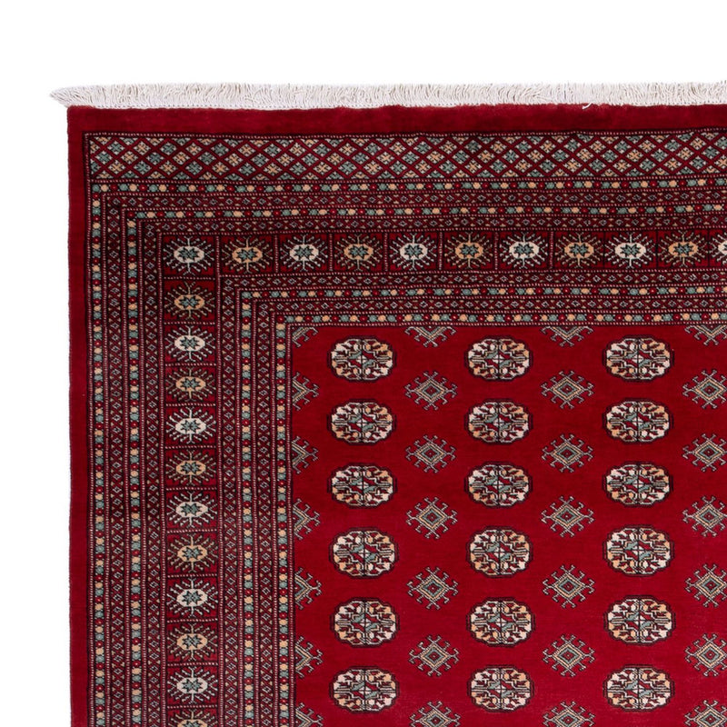 Afghaans tapijt - Bukhara - 362 x 278 cm - rood