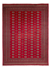 Afghaans tapijt - Bukhara - 369 x 275 cm - rood