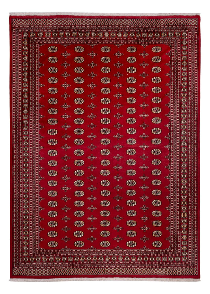 Afghaans tapijt - Bukhara - 387 x 276 cm - rood