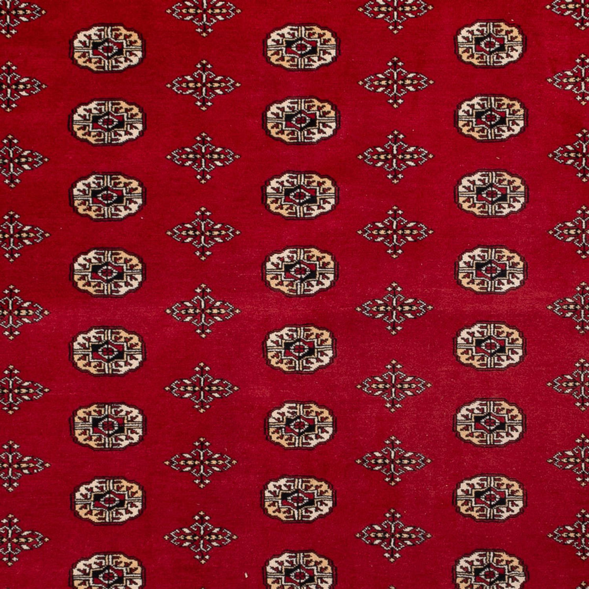 Afghaans tapijt - Bukhara - 387 x 276 cm - rood