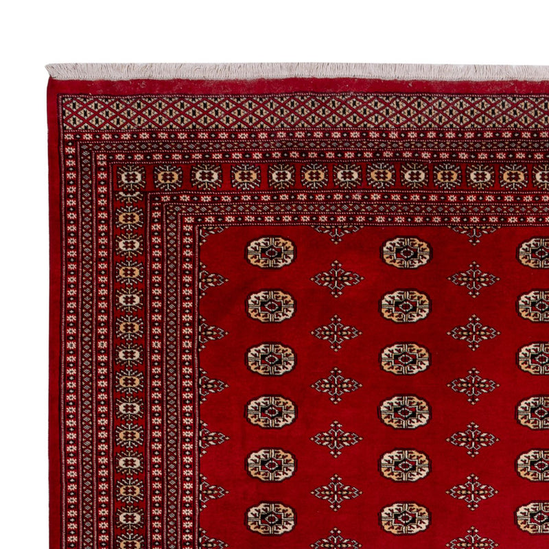 Afghaans tapijt - Bukhara - 387 x 276 cm - rood