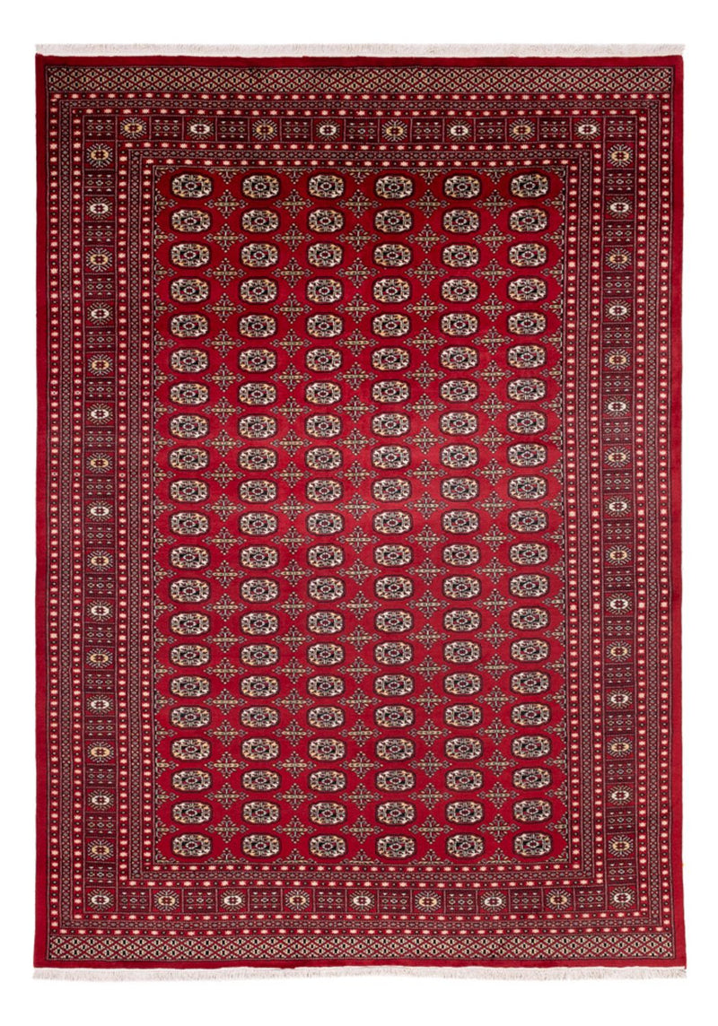 Afghaans tapijt - Bukhara - 346 x 241 cm - rood