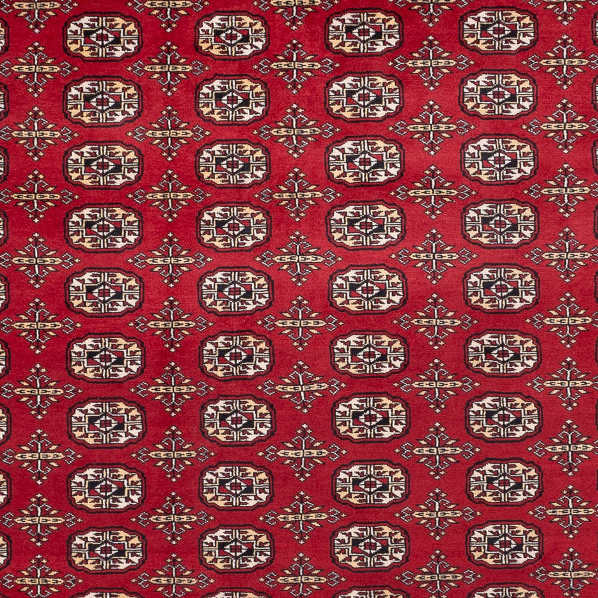 Afghaans tapijt - Bukhara - 346 x 241 cm - rood