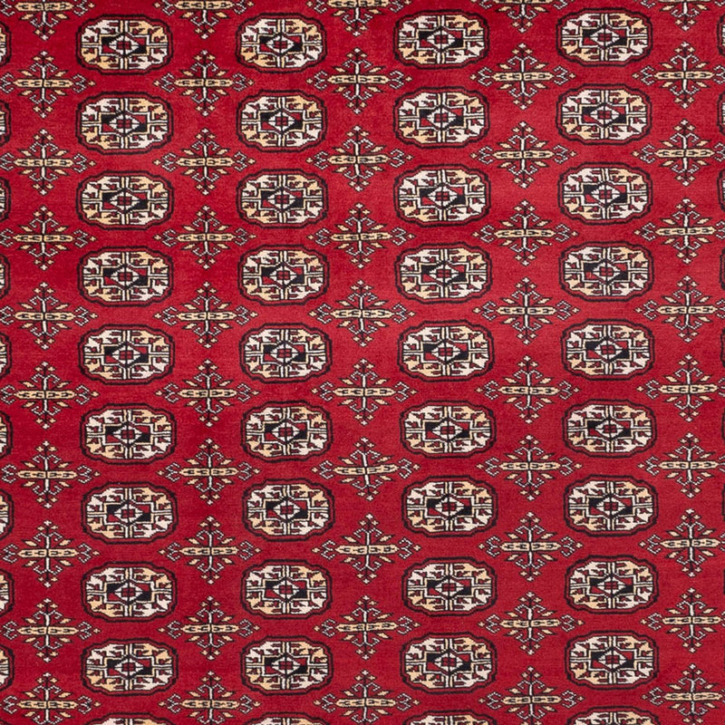 Afghaans tapijt - Bukhara - 346 x 241 cm - rood