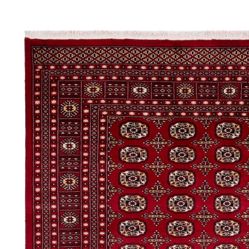 Afghaans tapijt - Bukhara - 346 x 241 cm - rood