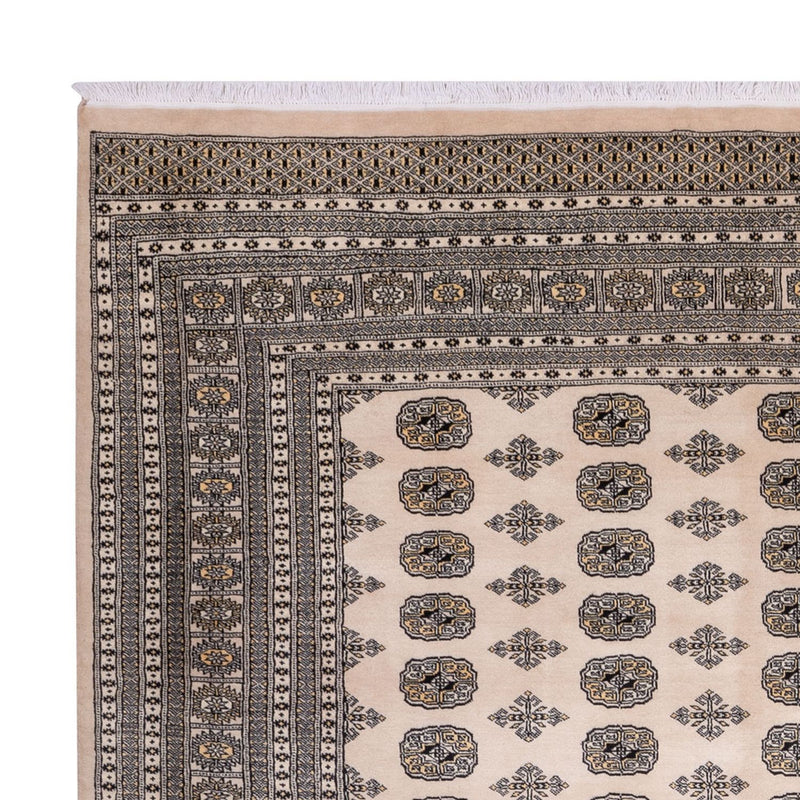 Afghaans tapijt - Bukhara - 359 x 278 cm - beige