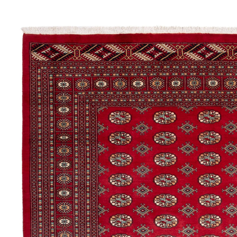 Afghaans tapijt - Bukhara - 354 x 275 cm - rood