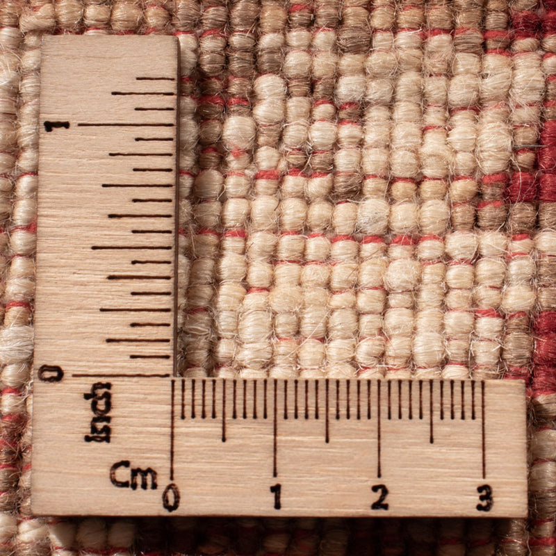 Ziegler Tapijt - Ariana - 303 x 247 cm - veelkleurig