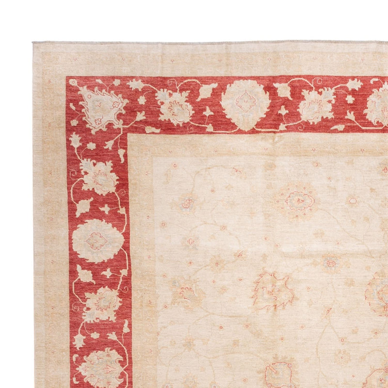 Ziegler tapijt - 689 x 402 cm - beige