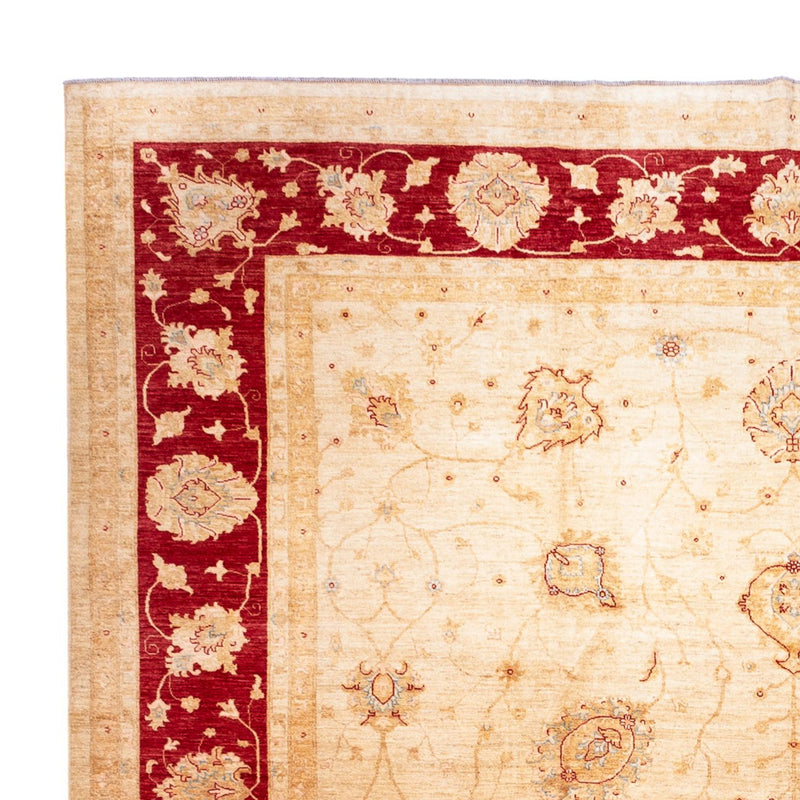 Ziegler tapijt - 584 x 394 cm - beige