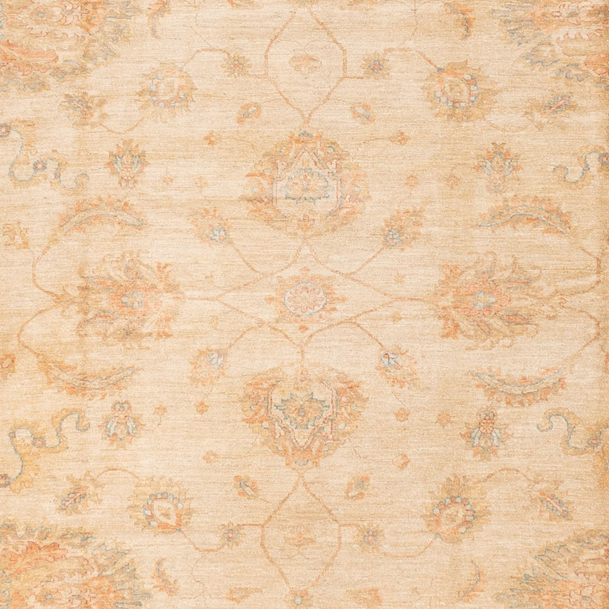 Ziegler tapijt - 585 x 396 cm - beige