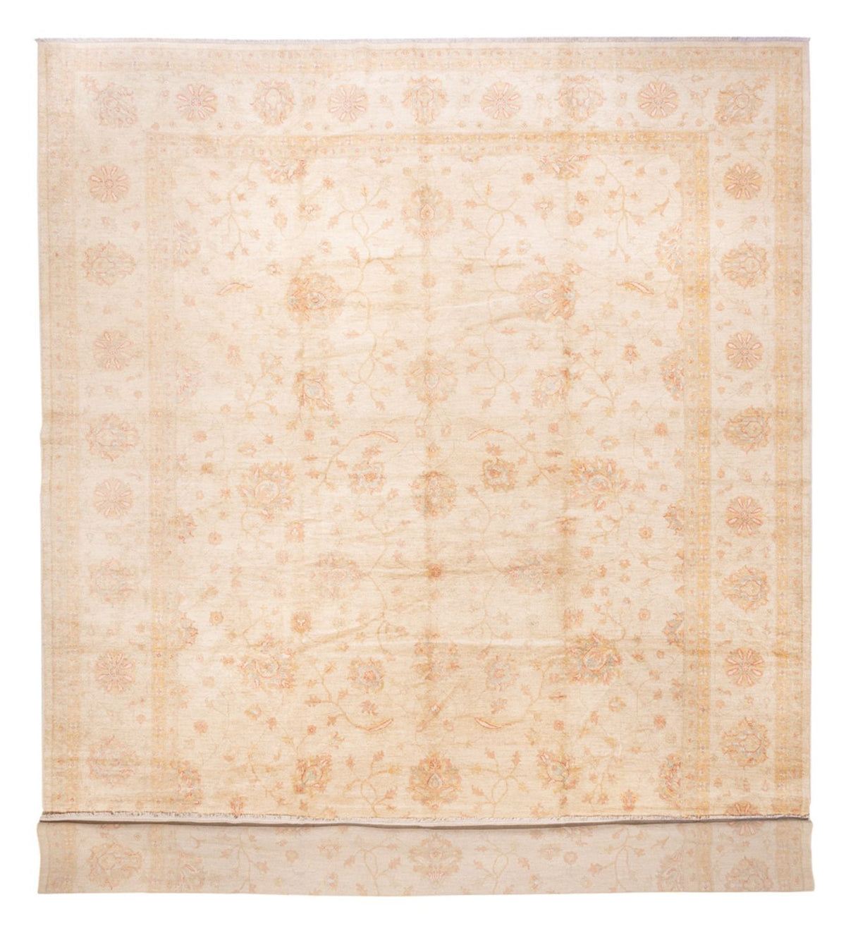 Ziegler tapijt - 592 x 403 cm - beige