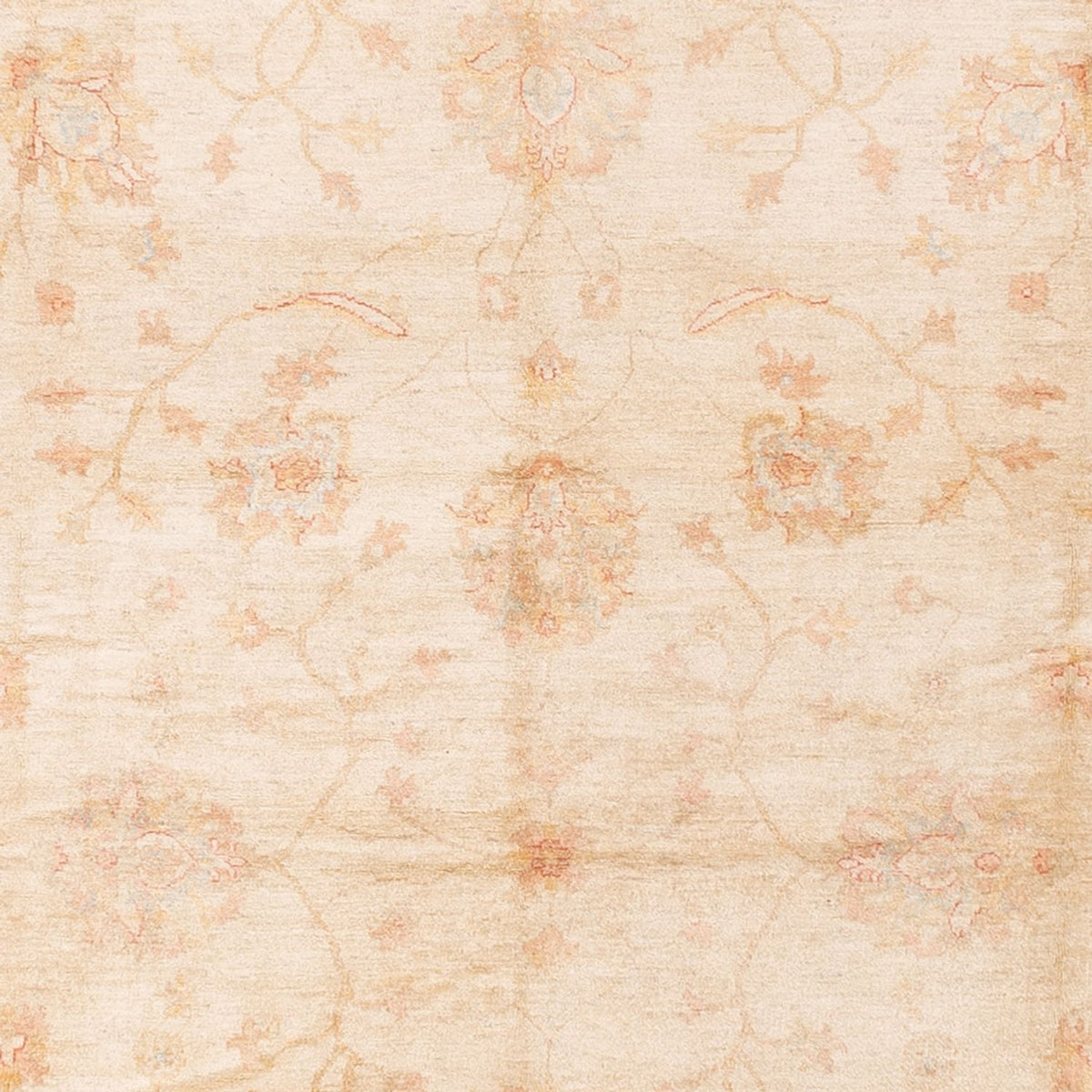 Ziegler tapijt - 592 x 403 cm - beige