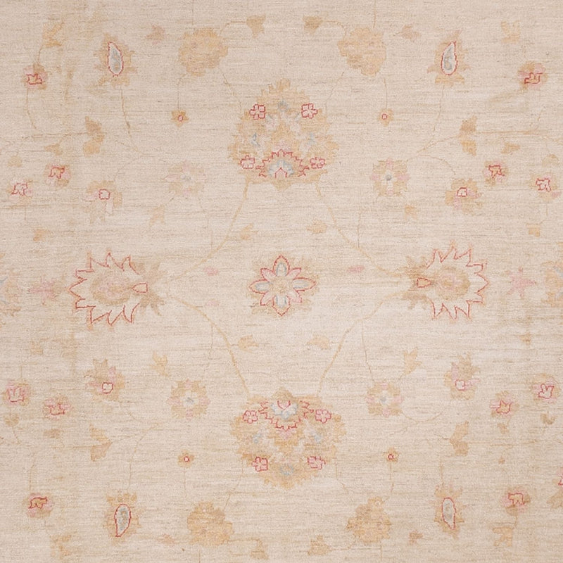 Ziegler tapijt - 538 x 350 cm - beige