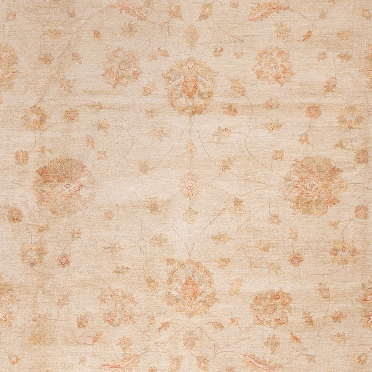 Ziegler tapijt - 498 x 405 cm - beige