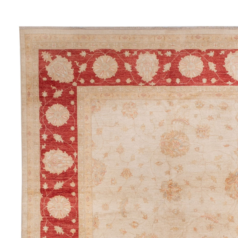 Ziegler tapijt - 498 x 405 cm - beige