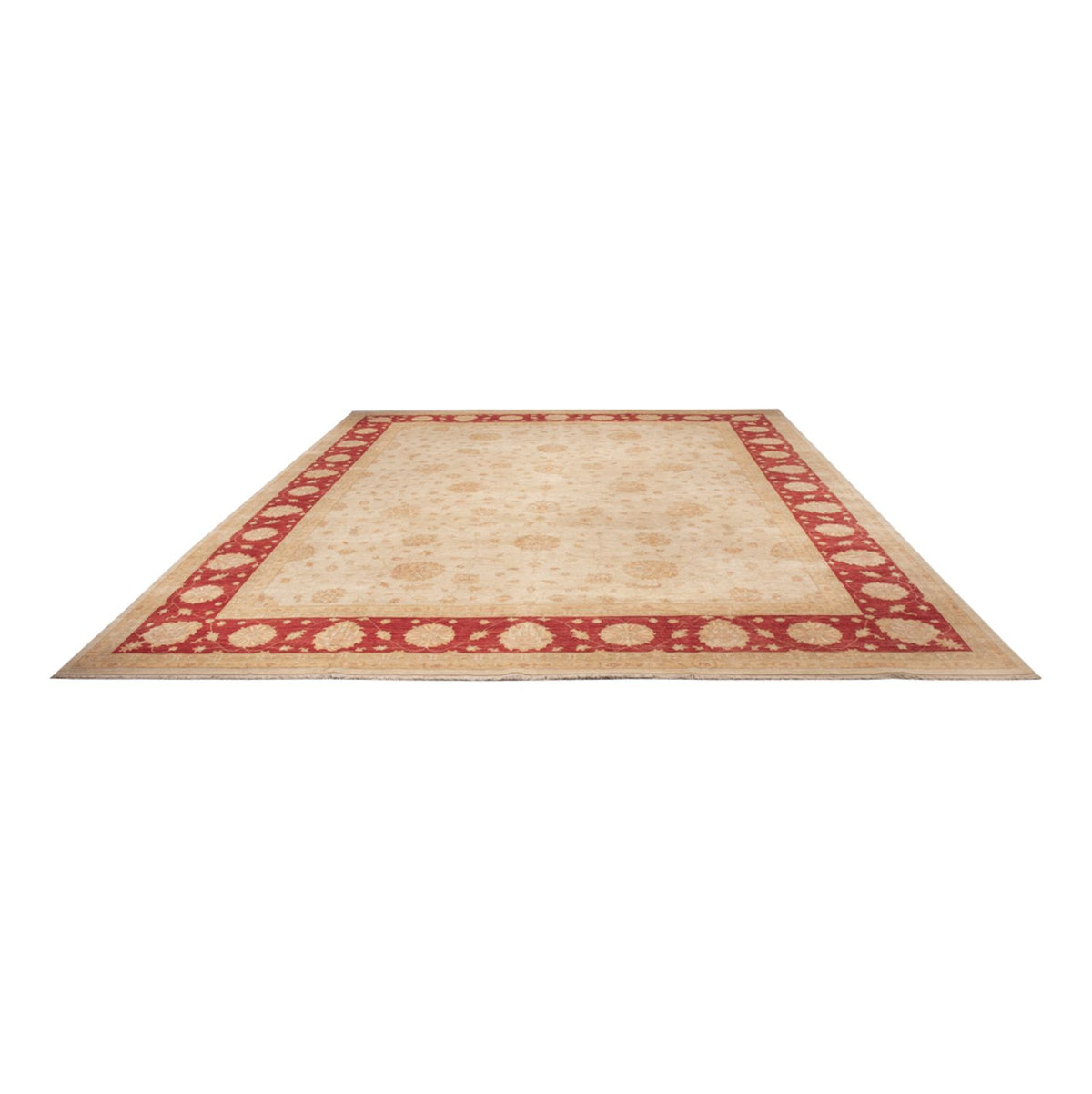 Ziegler tapijt - 498 x 405 cm - beige